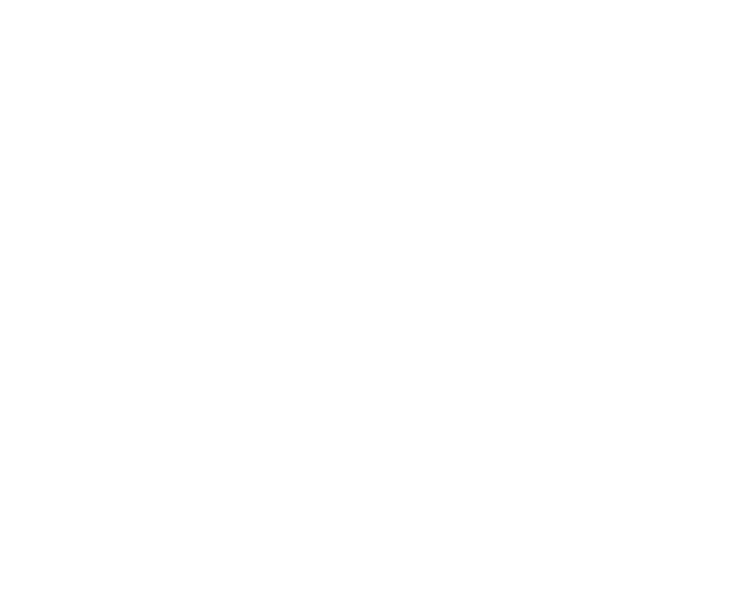 Emerald International School